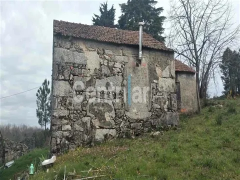 Quinta