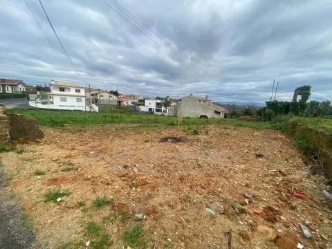 Terrain