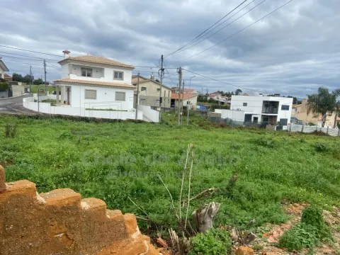 Terrain