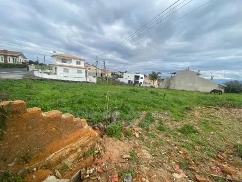 Terrain