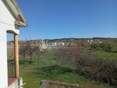 img_7