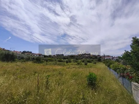 img_1