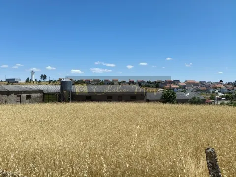 Fabbrica/Immobile Industriale