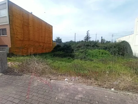 Moradia em estrutura para venda em Palmeira, Braga