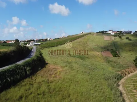 Terrain rustique avec 1,8 ha avec terrain à bâtir