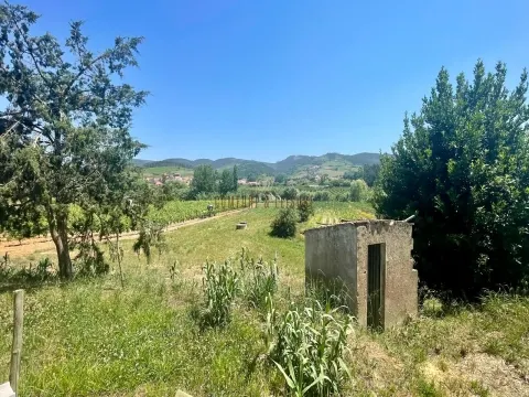 Terreno para construção localizado na Aldeia Grande, Maxial