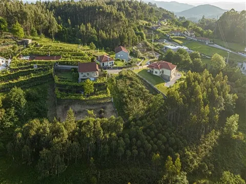 Terreno Rústico