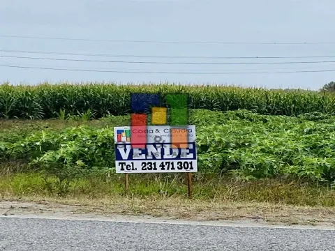 Real Estate building