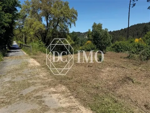 Terreno Rústico