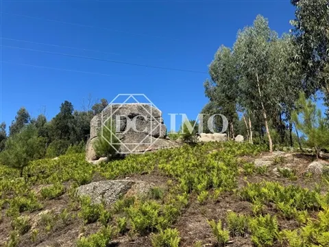 Rustico Terreno