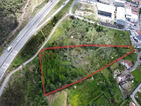 Mixed Real Estate