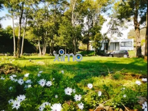 Vivienda 4 Dormitorios