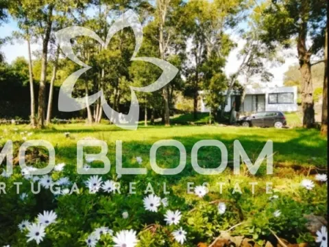 Appartamento 2+ camere