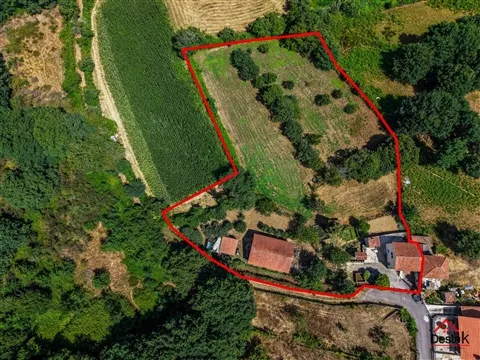 Quinta encantadora em Serrazes, São Pedro do Sul