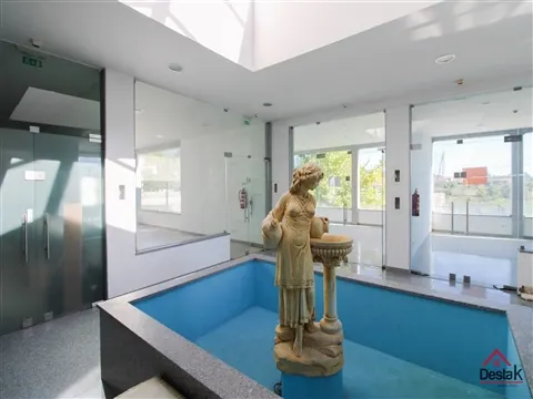 Loja comercial para venda em Snat Cruz da Trapa, São Pedro do Sul.