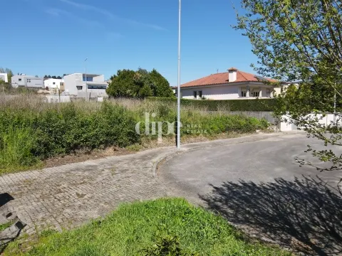 img_4