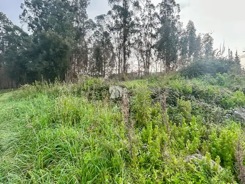 Piece of Real Estate