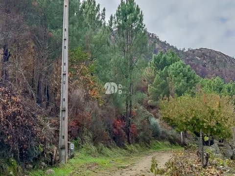 Terreno 8835m² - Távora