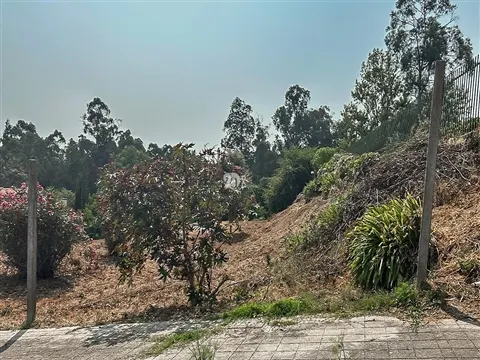 Loteamento - Delães