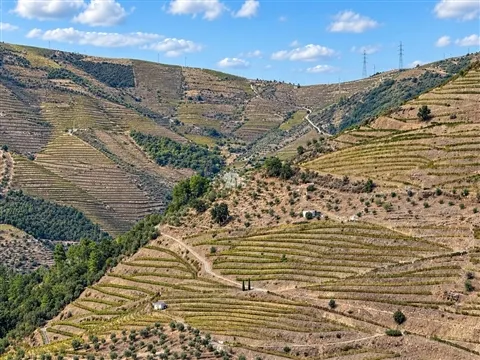 Quinta 10Ha - Douro
