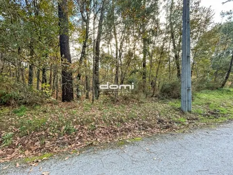  Pinhal com 5.773m² em Arcozelo - São Pedro do Sul