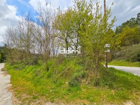  Pinhal com 2165m² em Arcozelo - São Pedro do Sul