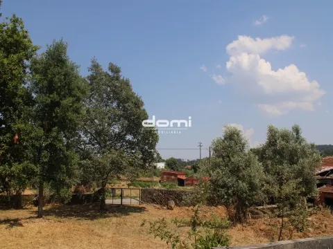 Terreno com Viabilidade de Construção em Vila Chã, Oliveira de Frades