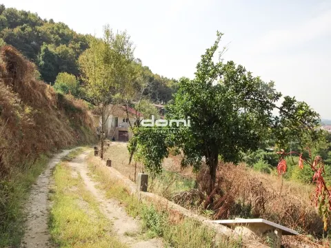 Quinta com mais de 10.000 m² em São Pedro do Sul