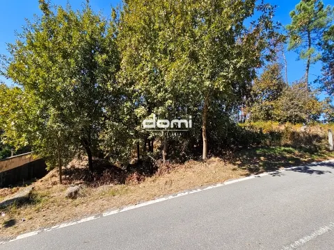 &#127807; Terreno Urbano – 550 m² Cotães, São Pedro do Sul