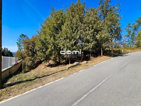 &#127807; Terreno Urbano – 550 m² Cotães, São Pedro do Sul