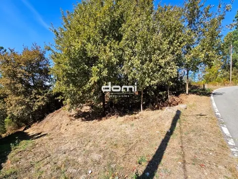 &#127807; Terreno Urbano – 550 m² Cotães, São Pedro do Sul