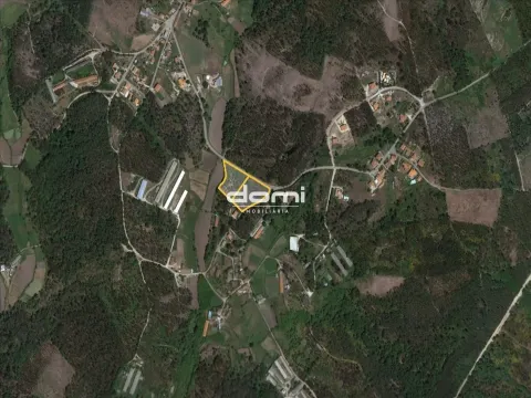 Terreno com viabilidade de construção em Oliveira de Frades