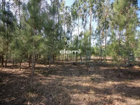 Terreno com viabilidade de construção em Oliveira de Frades