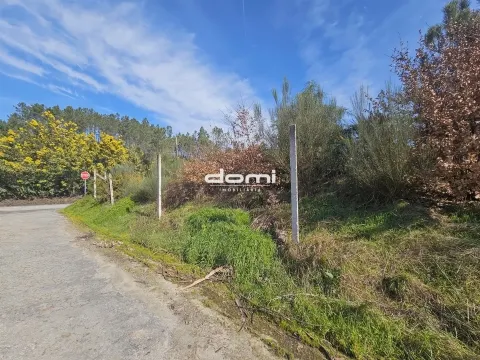 🌿 Terreno Rústico 1.166,80 m² – Paraíso, Arcozelo, São Pedro do Sul