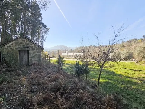 🌿 Terreno com Viabilidade de Construção, nas Termas - São Pedro do Sul