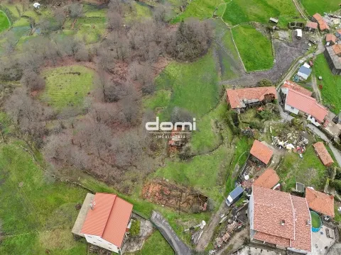 Propriedade Ampla e Vedada com Moradia para Restauro, Oliveira de Frades