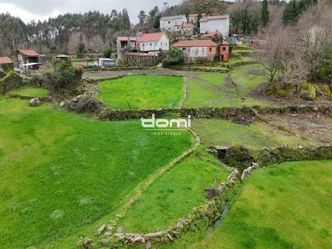 Propriedade Ampla e Vedada com Moradia para Restauro, Oliveira de Frades