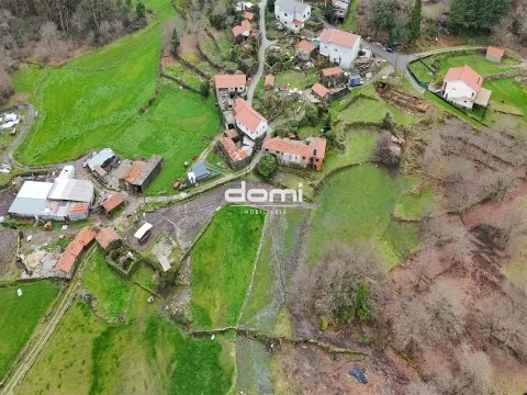 Propriedade Ampla e Vedada com Moradia para Restauro, Oliveira de Frades