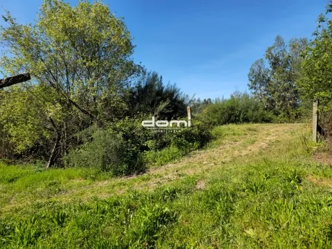 🌿 Terreno Rústico em São João da Serra 🌿