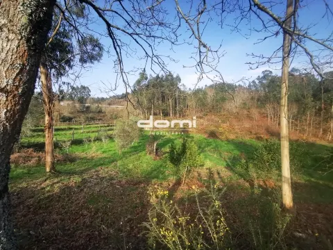 🌿 Terreno Rústico em São João da Serra 🌿