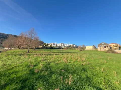 Terreno urbano com cerca de 5.000 m² no Centro de São Pedro do Sul 🌟