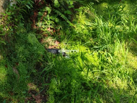 Landgrundstück