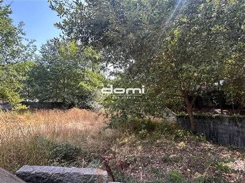 Real estate land