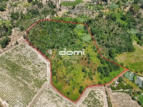 🌿 24.000 m² de potencial para o seu projeto agrícola