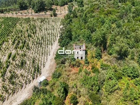 🌿 24.000 m² de potencial para o seu projeto agrícola