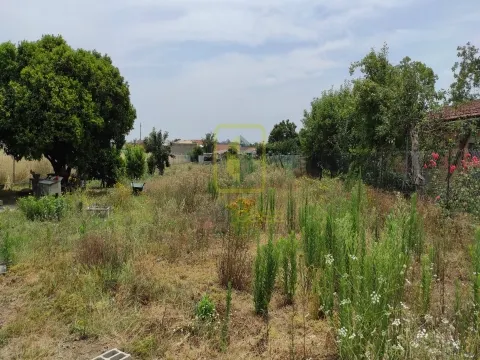 Terreno para Construção em Eixo