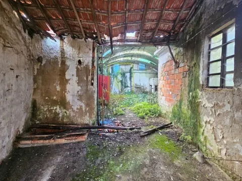 Moradia Térrea em Eixo