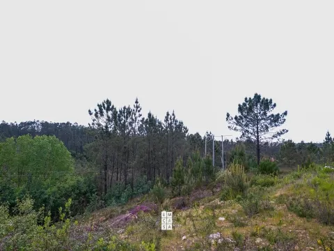 Terreno Urbano