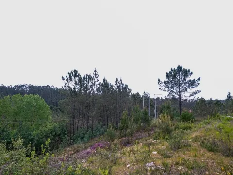 Terreno Urbano