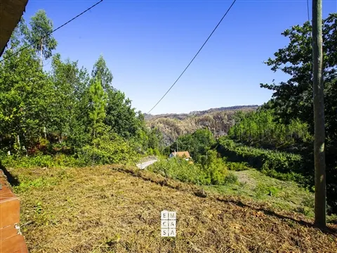 img_5